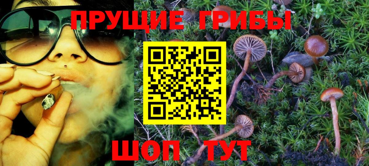 Вятские Поляны  Псилоцибиновые грибы MAGIC MUSHROOMS  Вход с VPN 